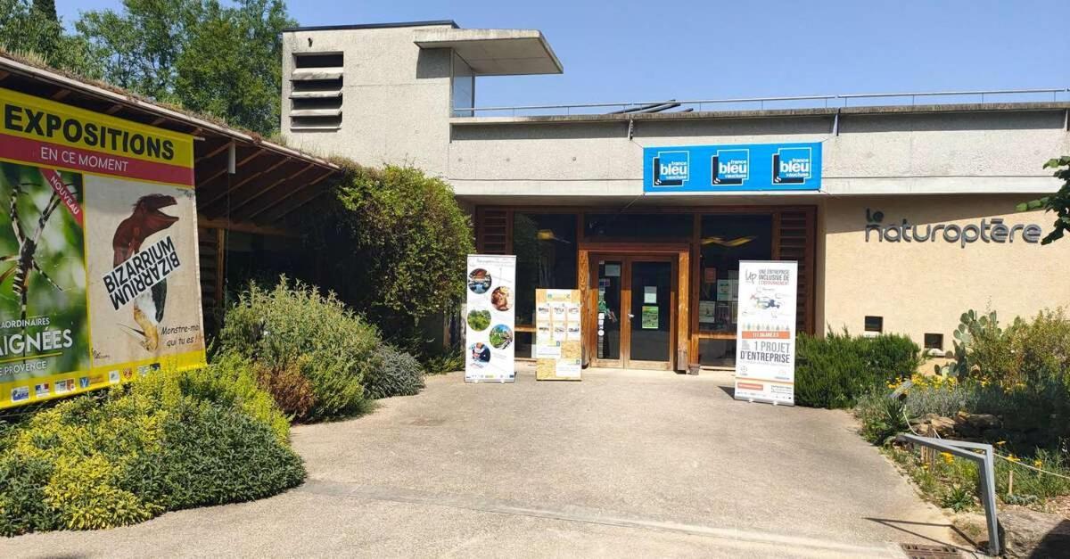 Apartament La Grotte Sérignan-du-Comtat Zewnętrze zdjęcie